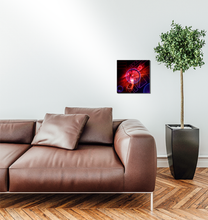 Load image into Gallery viewer, The Lizard and the Chameleon 12x12 Inch Metal Print 1 Quantity 149.00USD
