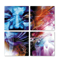 Load image into Gallery viewer, Fly Hendrix 33x33  Inch Canvas Print 1 Quantity 629.99USD
